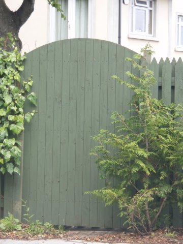 Stained Arched TG&V Gate